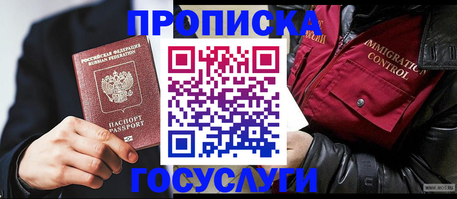 где прописаться в Коле